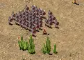 Gameplay